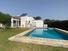 266493.jpg