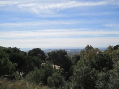 272610.jpg