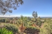 AWVADP672_23796_V0_3117.jpg
