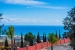 BOMACP364_11447_V0_58CE.jpg