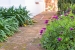AVXADP2166_101308_V0_6750.jpg