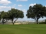 3-e898b2bb2a2fdfd06d2c39894dce8316.jpg
