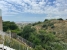 4-c23c0f86247804fa50226aecd8b0b2c8.jpg