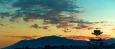 21-2c707e7c511429b4f8ec4ee5f221ddb6.jpg