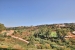 29-7c2f312881aea9bbe9ddaeb9640e2c9a.jpg