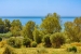 20-d1f7658cbe4ba6cd8666fec30fba80ad.jpg