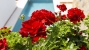 19-d0ed7da2012a09046d307c195d98e7d6.jpg