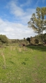 5-3595ad71cbd87be6c3643a4285ef4791.jpg