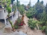 27-f6e8bc237ba13ac4c268badec6354f3d.jpg
