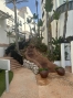 39-a493fe9149752455d4aa759b42ca0ea1.jpg
